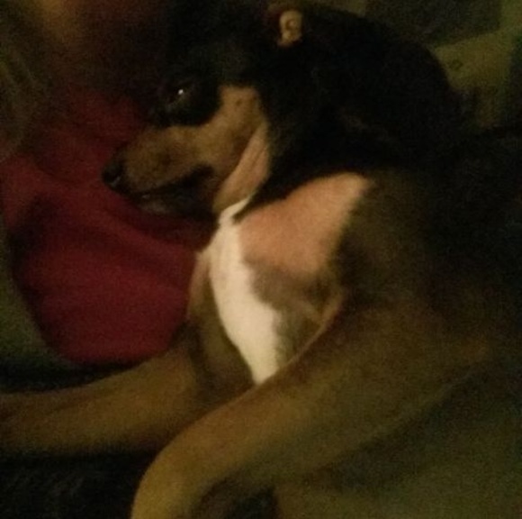 Meet your Posher, Wendy - Picture 1 of 1